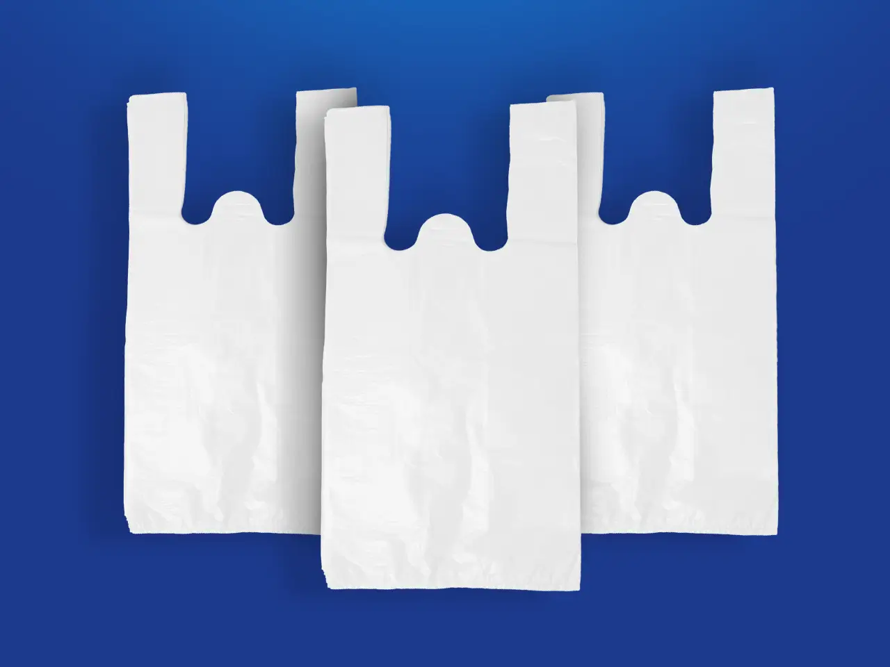 Sacolas-Reforcadas (1)